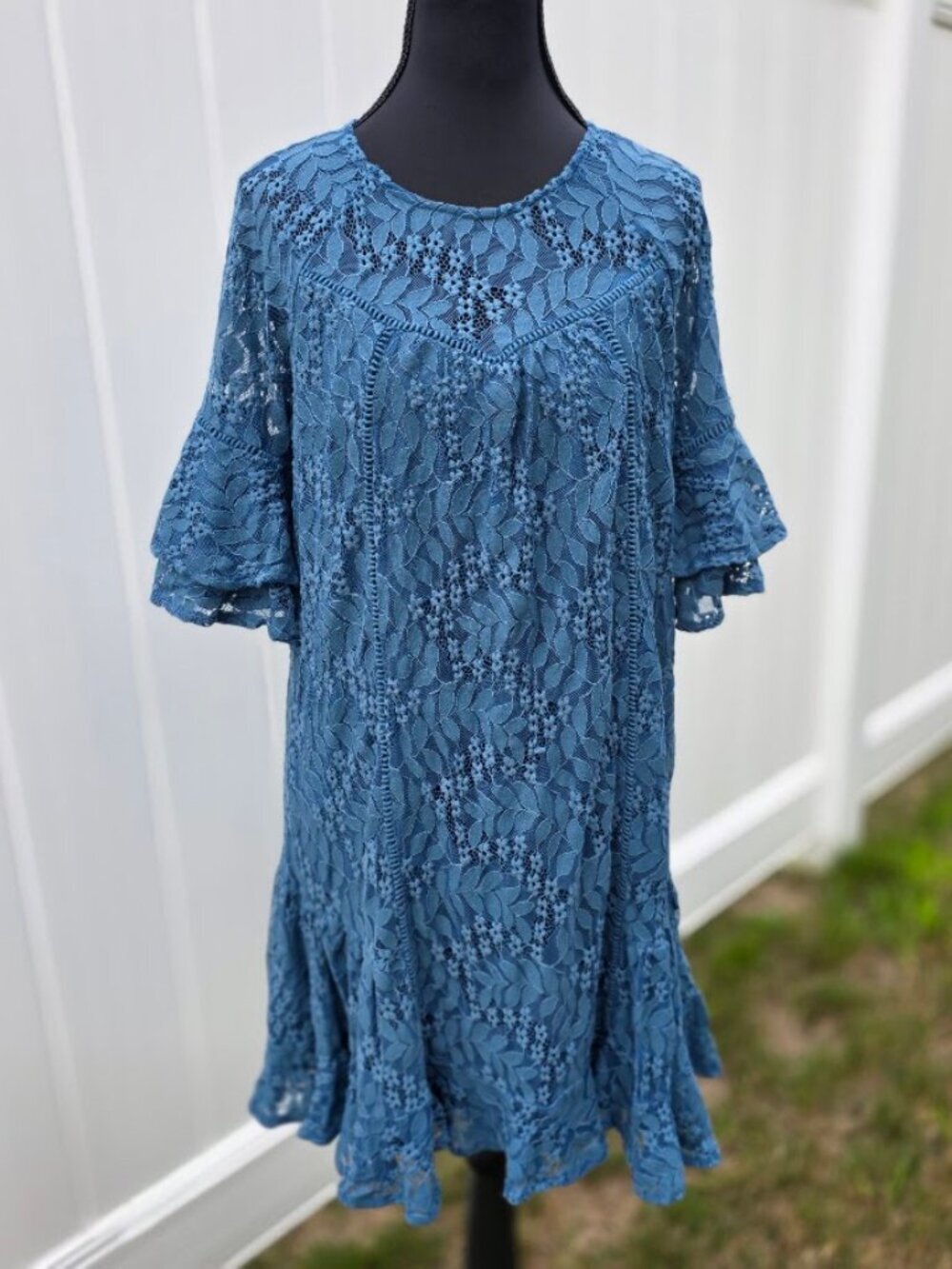 Francesca's Blue Floral Lace Flutter Sleeve Ruffle Dress M